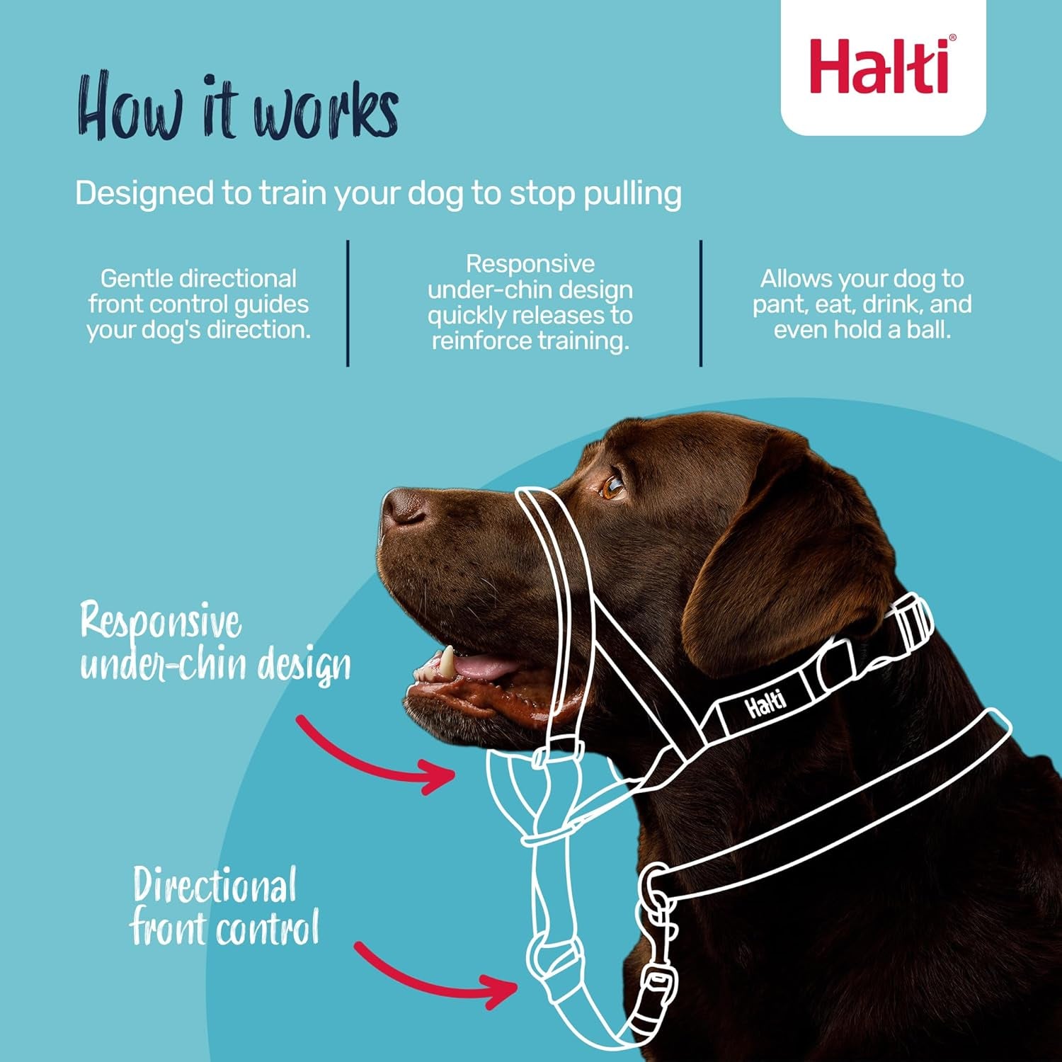HALTI Headcollar Size 3 Black, UK Bestselling Harness to Stop Pulling on the Lead, Easy to Use, Padded Nose Band, Adjustable & Reflective, Professional Anti-Pull Training Aid for Medium Dogs