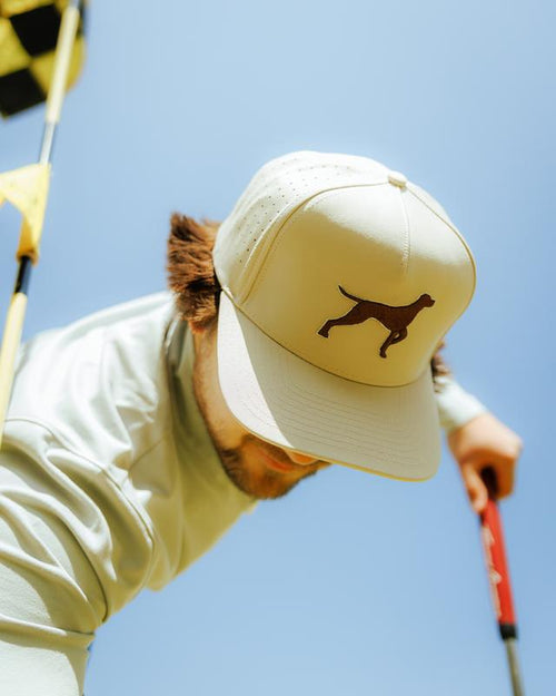 Bird Dog Cap: The Perfect Companion for Your Golfing Adventures