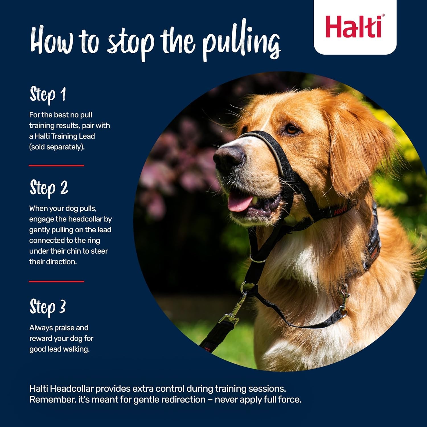 HALTI Headcollar Size 3 Black, UK Bestselling Harness to Stop Pulling on the Lead, Easy to Use, Padded Nose Band, Adjustable & Reflective, Professional Anti-Pull Training Aid for Medium Dogs