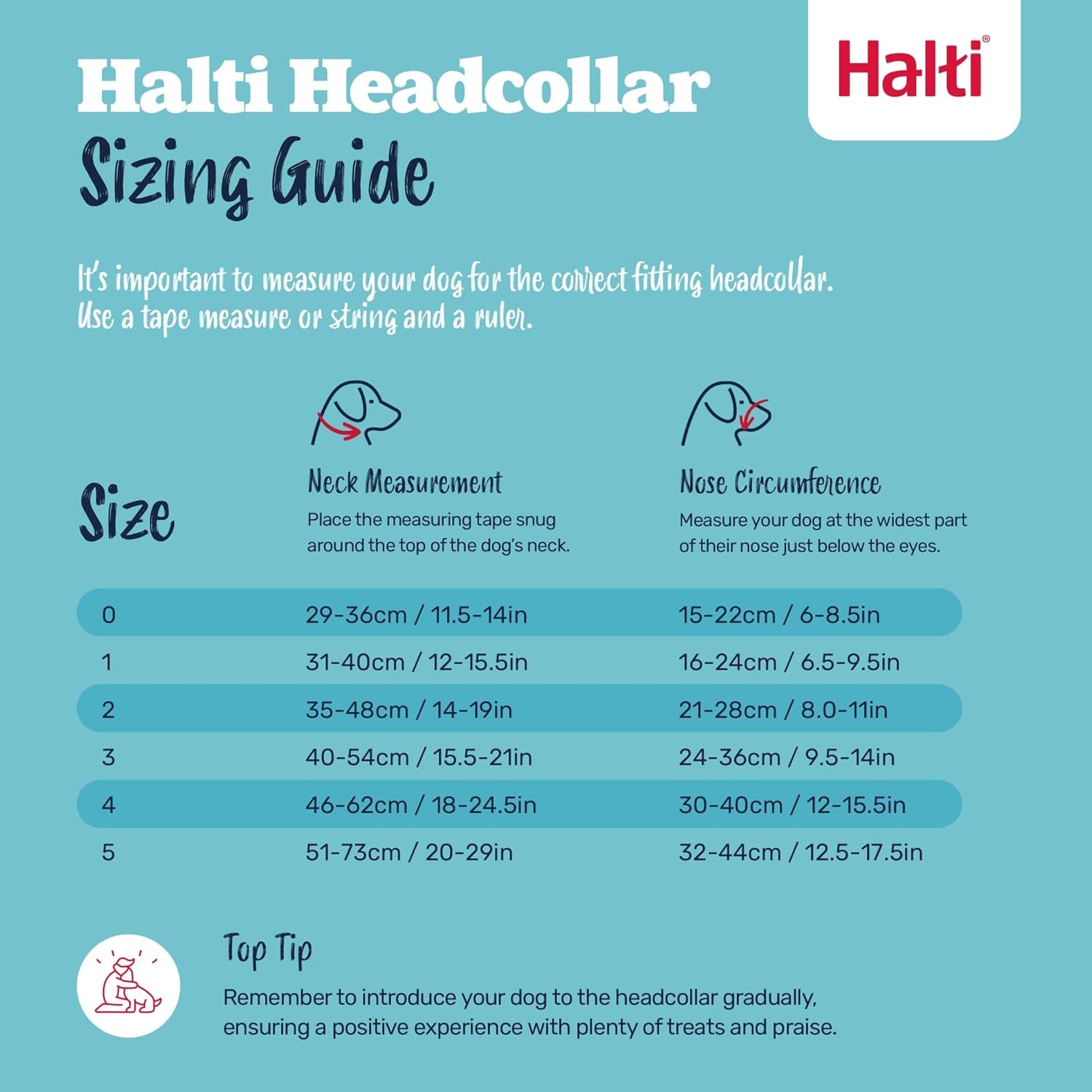 HALTI Headcollar Size 3 Black, UK Bestselling Harness to Stop Pulling on the Lead, Easy to Use, Padded Nose Band, Adjustable & Reflective, Professional Anti-Pull Training Aid for Medium Dogs
