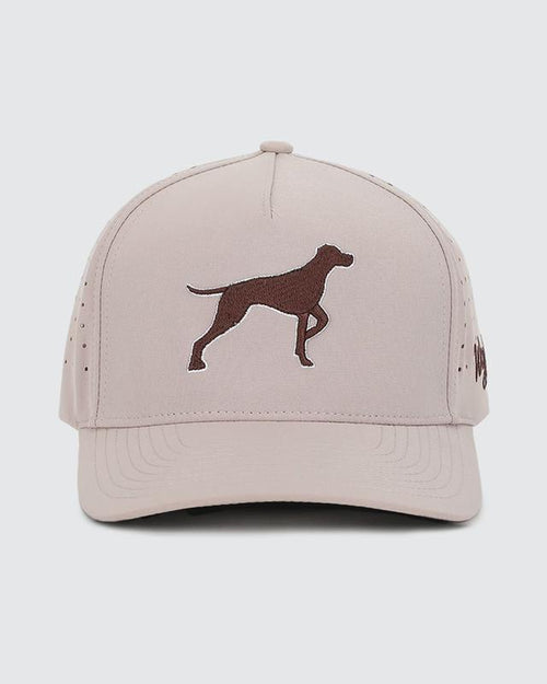 Bird Dog Cap: The Perfect Companion for Your Golfing Adventures
